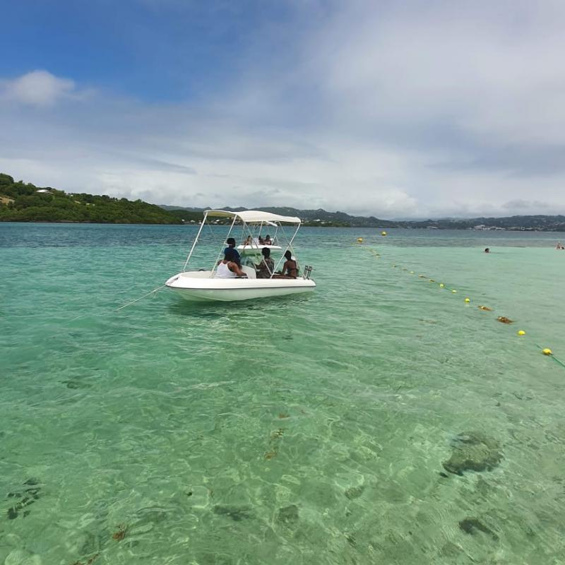 Îlets du Robert en bateau : Chancel, iguanes, îlet Madame et fonds blancs